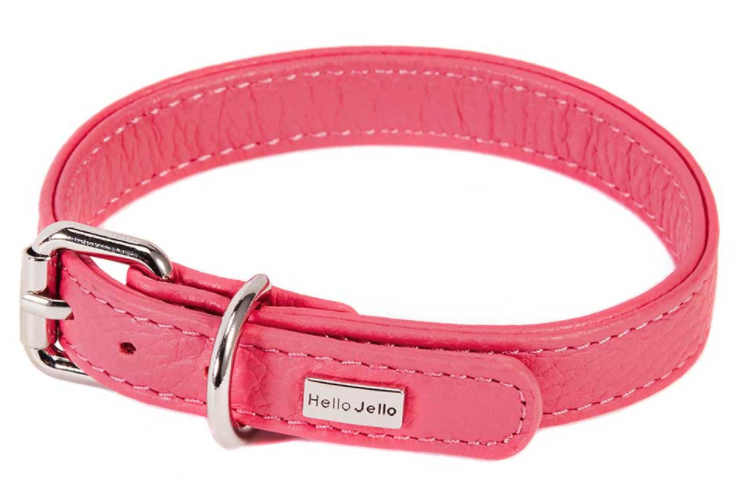 how to measure your dogs collar size 