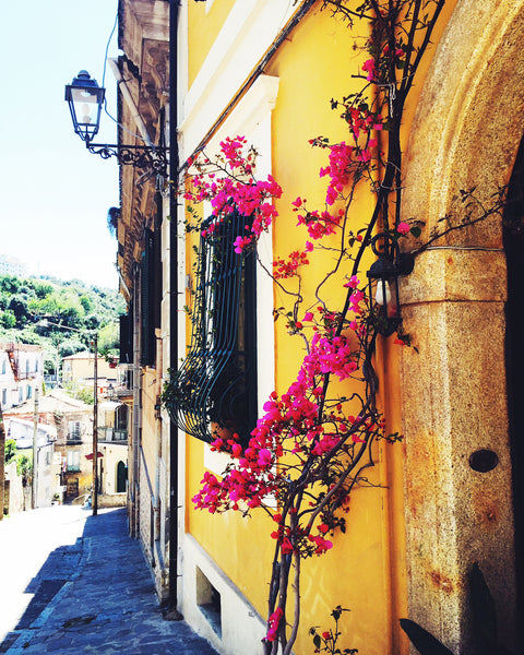 bougainvillea on yellow house in naples, italy