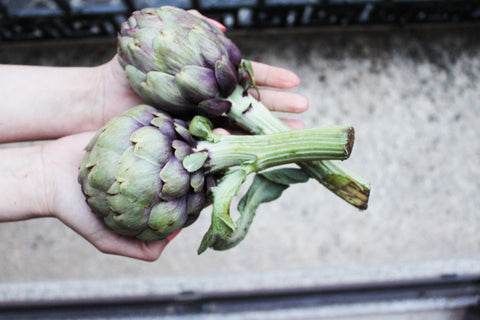 artichokes and spring produce in calabria italie