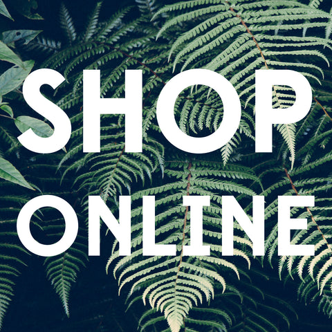 shop the new collection online