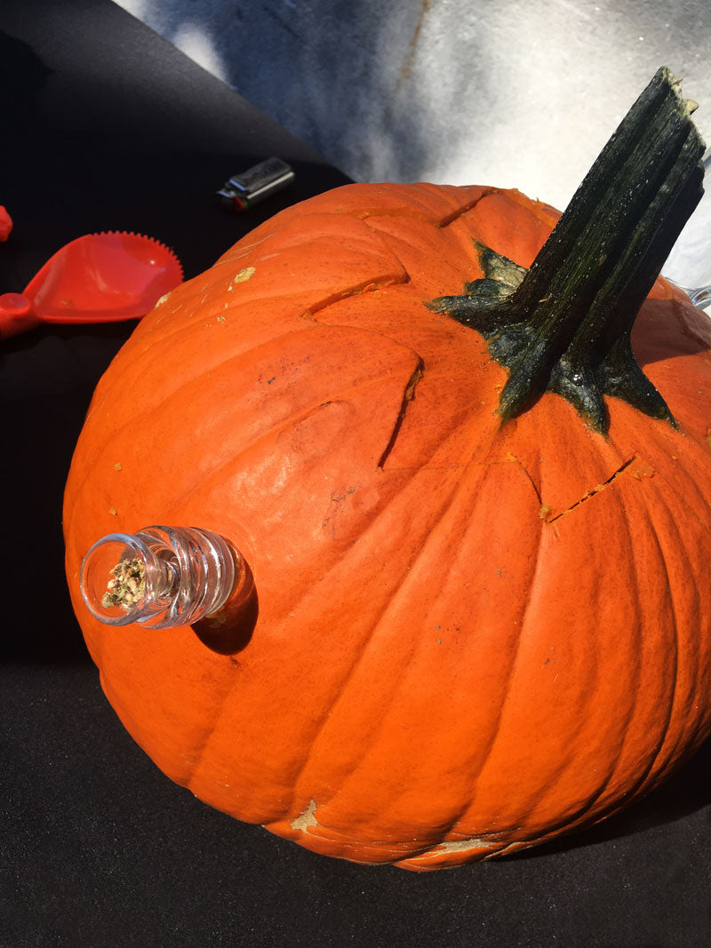 bowl piece on pumpkin