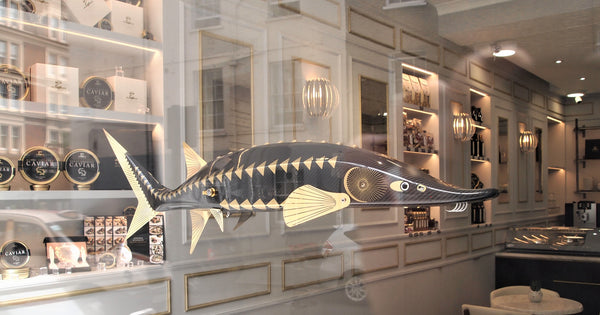Attilus Caviar Opens a shop in London