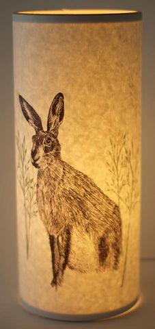 A Northern Light hare lamp