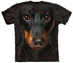 Dachshund tshirt