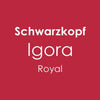 Schwarzkopf Igora Royal Permanent Hair Colour60ml