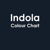 Indola Color Style Mousse Shade Chart - Hairdressing Supplies