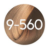 Schwarzkopf Igora Absolutes Permanent Hair Colour - 60ml - Hairdressing Supplies