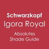 Schwarzkopf Igora Royal Absolutes Hair Color Chart - Hairdressing Supplies