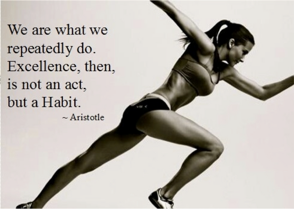 We are what we repeatedly do. Excellence, then, is not an act, but a Habit. -Aristotle