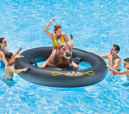 Inflatable Bull Riding Pool Toy..Renetto® Original Canopy Chair