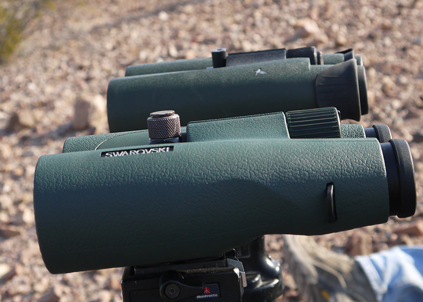 15x56 Swarovski SLC Binocular Comparison New vs Old