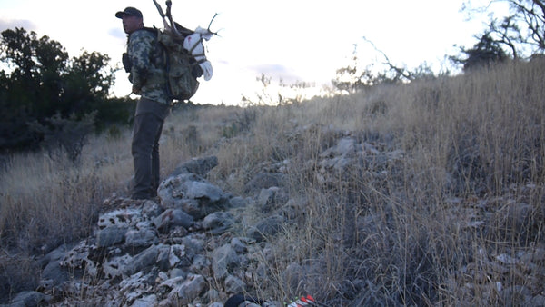 Packing out a Mule Deer!