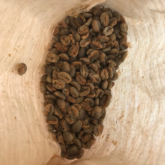 DAPTO ARABICA