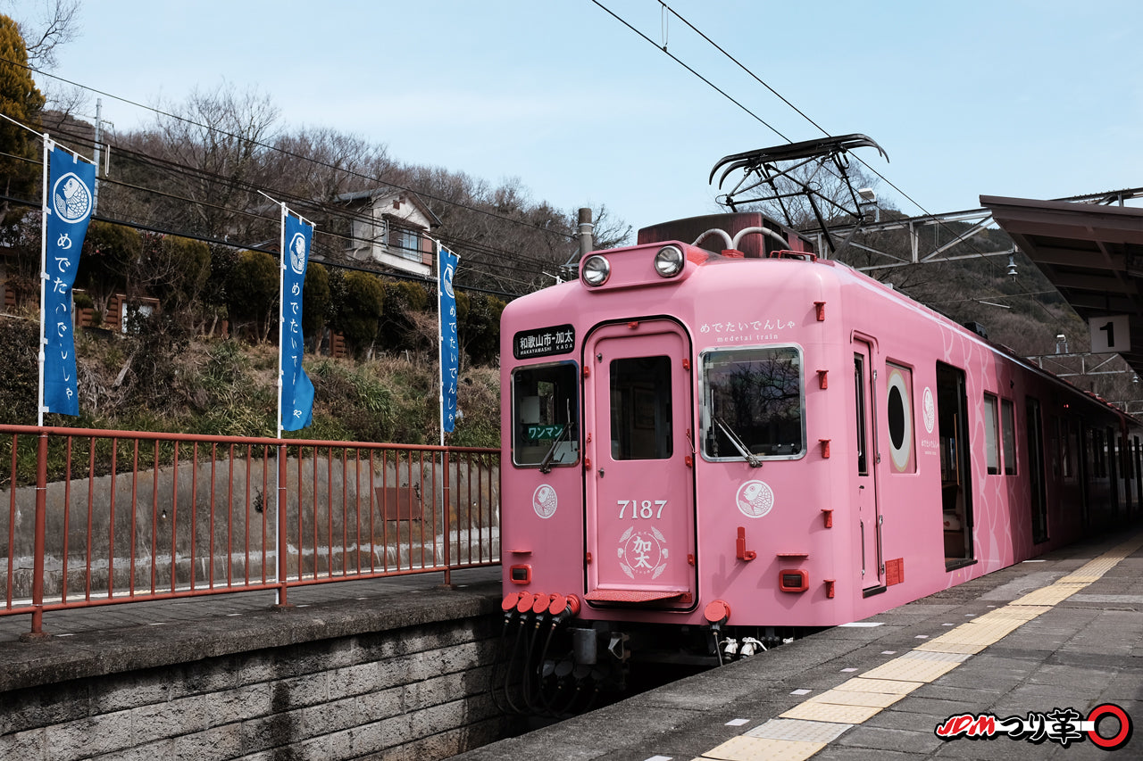 JDM Tsurikawa Wakayama Nankai Medetai Train