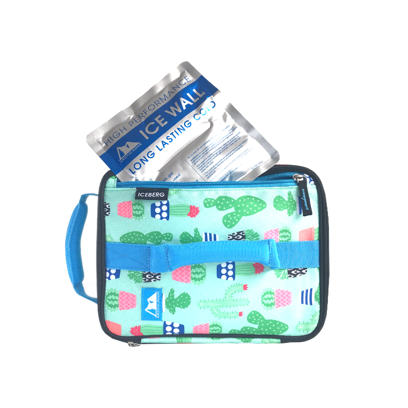 arctic zone expandable lunch box