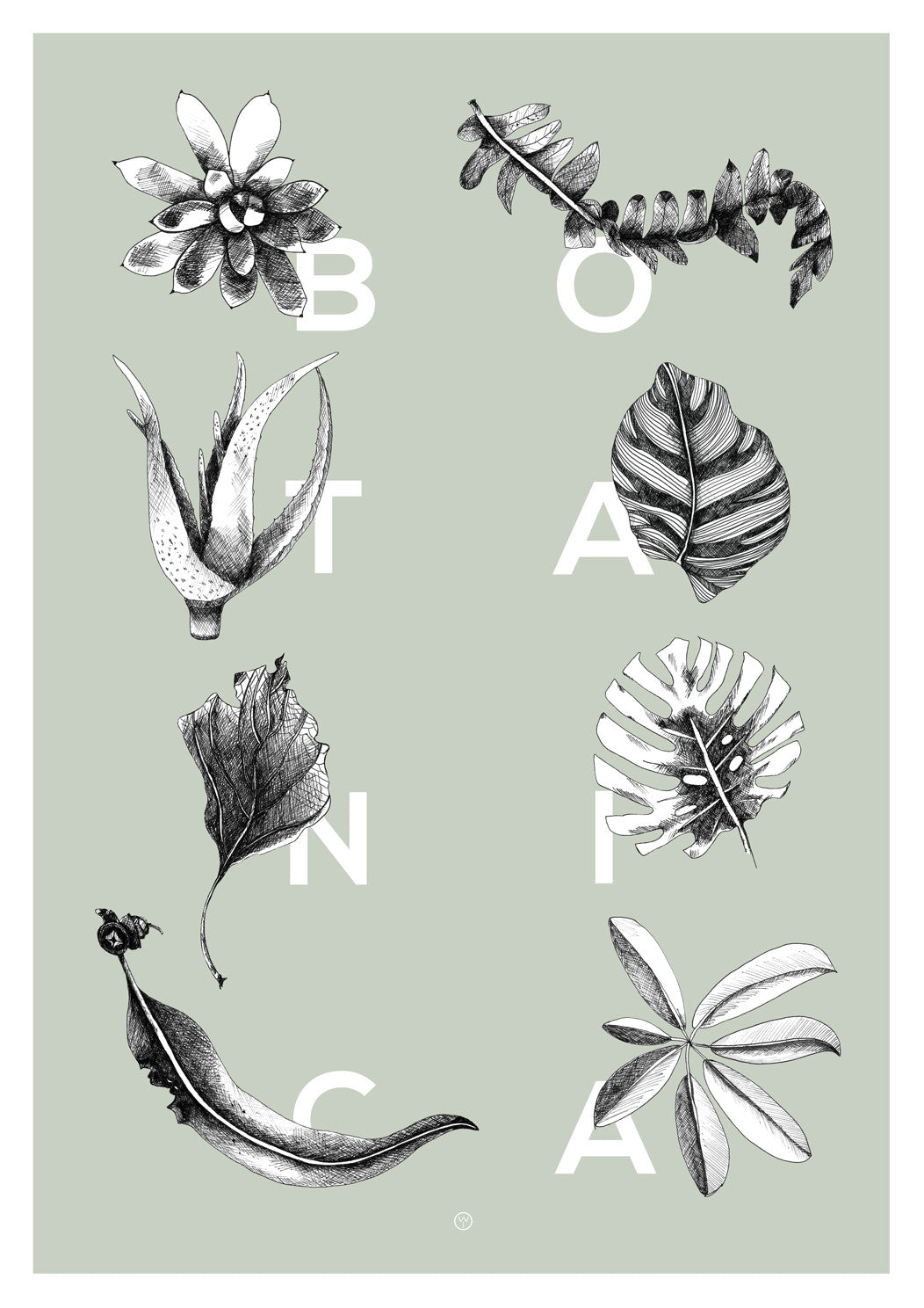 Botanica Letters | Pale Green A3 fra Wood+Ink