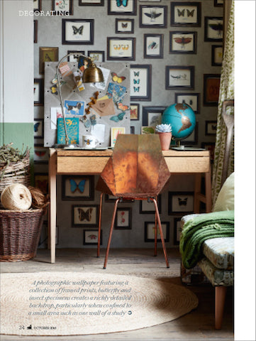 Kiki Voltaire Notice Board Country Living October 2016