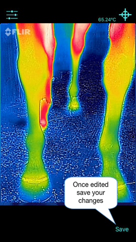 Thermafy user guide, how to save once edited the photo