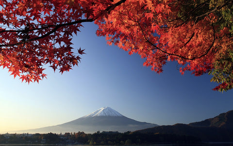 autumn in japan