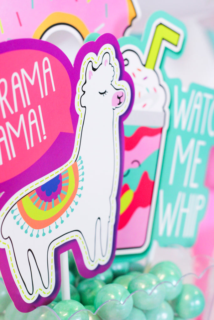 Llama Party Ideas -- Zurchers