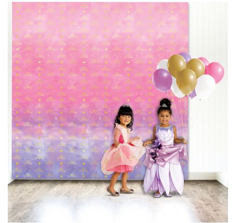 Disney Princess Once Upon A Time Photo Backdrop 2pcs Zurchers