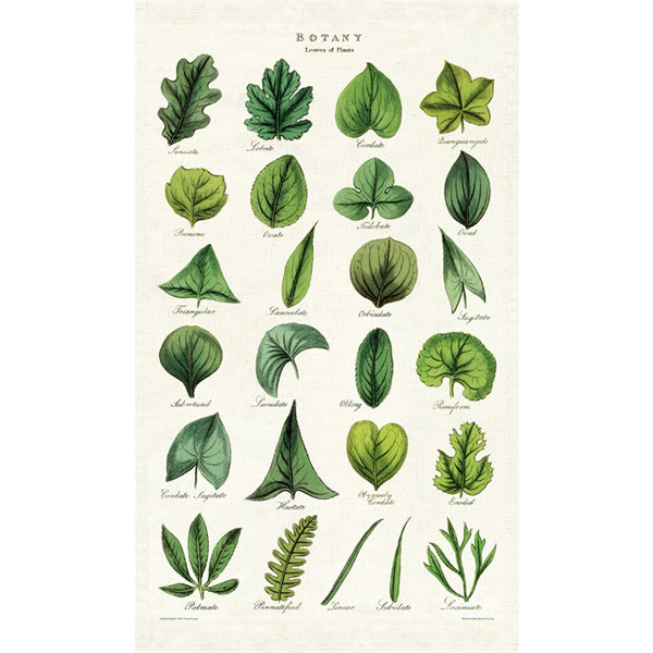 Leaf Shape Identification Chart