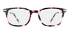 Pink Tortoise