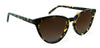 Classic Tortoise with Brown Gradient