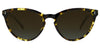 Classic Tortoise with Brown Gradient