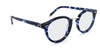 Blue Tortoise