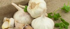 Garlic and foot fungus