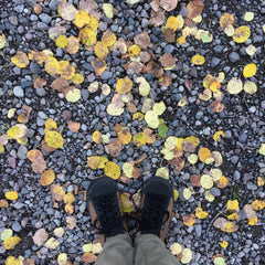 Fall SOM shoes