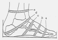 Do you have a wide foot? Measuring your feet to see if you need a wide toe box shoe