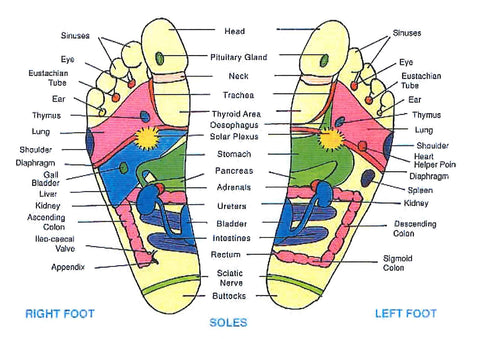 Reflexology- how your feet are connected to the rest of your body.