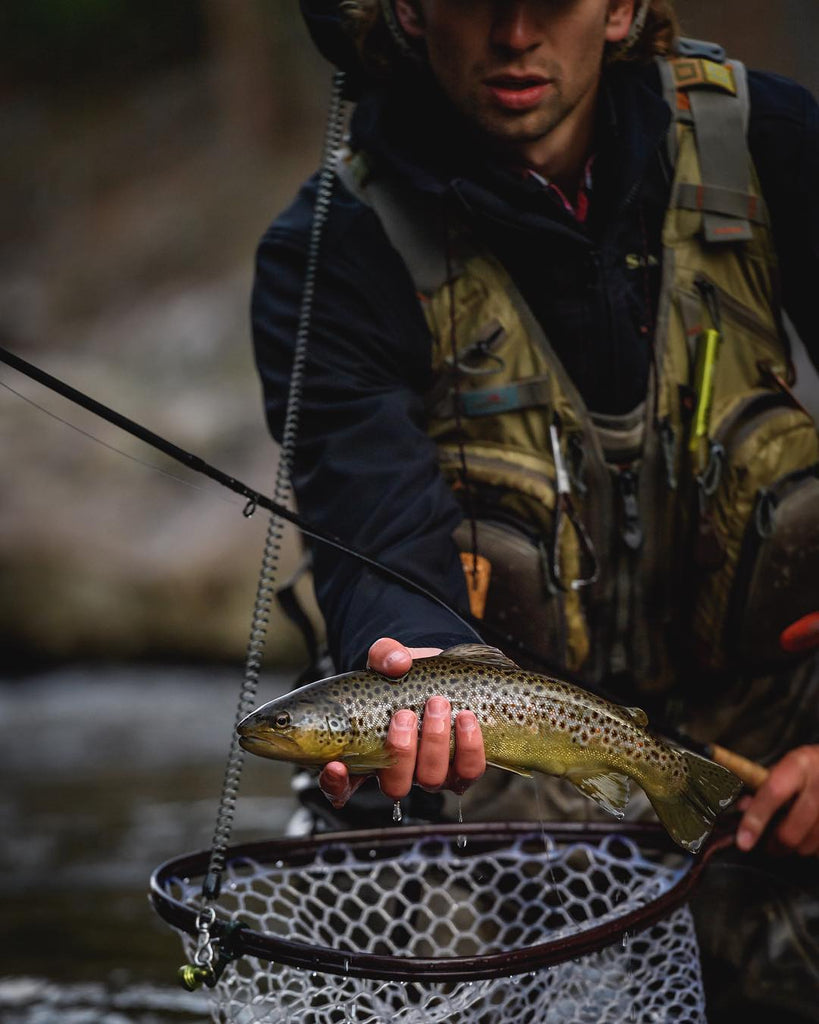 3 Simple Tactics for Fly Fishing Pocket Water trout