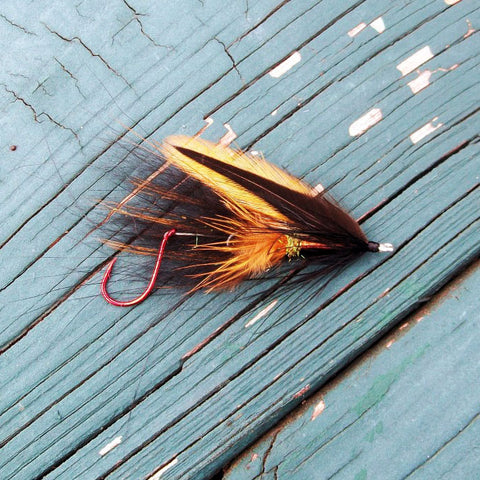 Vern-O Burm's Dace Shank Fly - Fly tying instructions