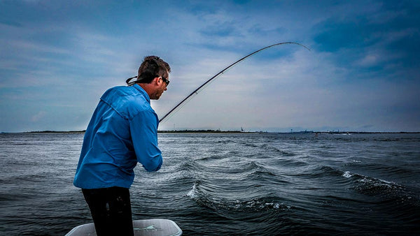 False albacore fly fishing North Carolina