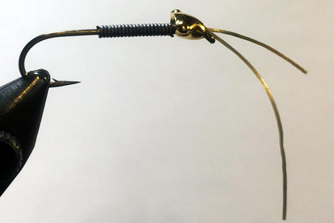 Girdlebug fly tying instructions step 3