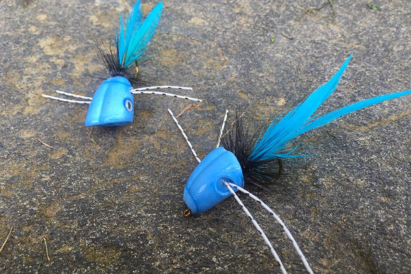 Surface Seducer popper and slider fly