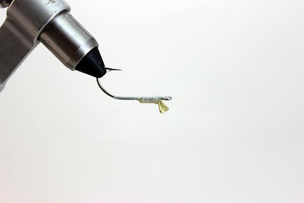 Fish-Skull Masked Minnow fly tying instructions