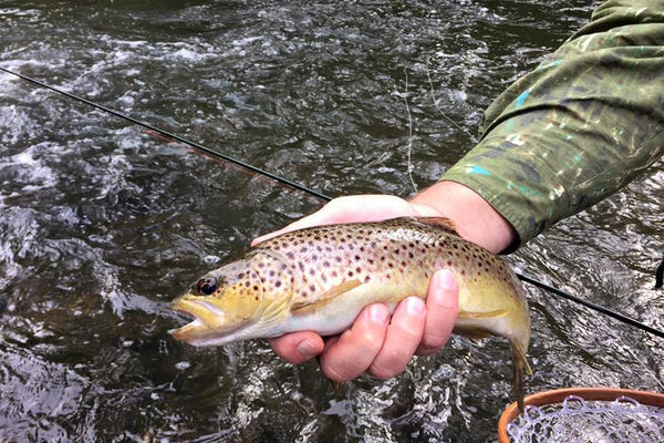 You aren't going to fool wary, wild browns with poor presentation.