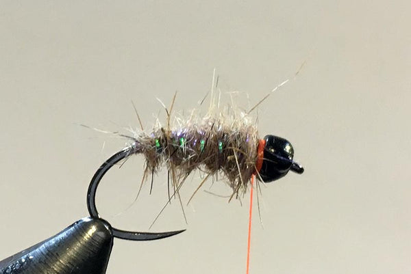 Sexy Walt's nymph step 5 fly tying