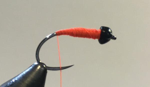 Sexy Walt's nymph step 3 fly tying