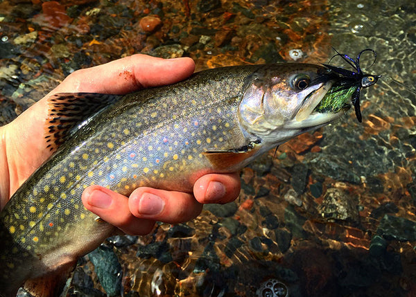 Fly fishing Sculpin Helmet