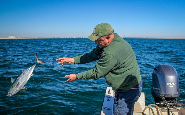 False albacore fly fishing