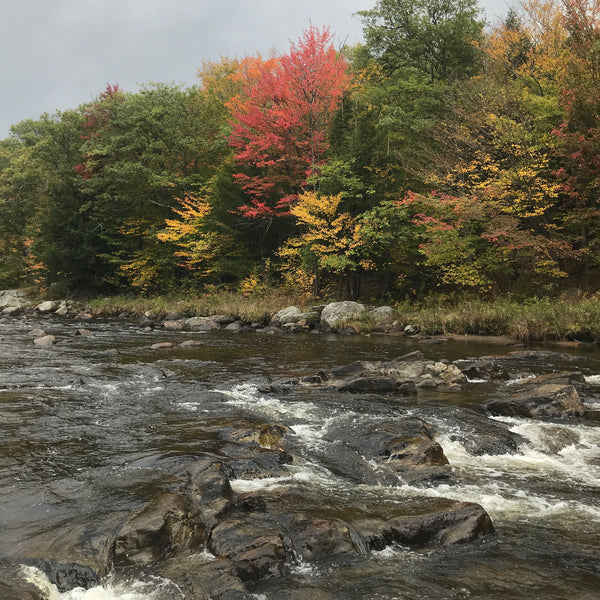 3 Simple Tactics for Fly Fishing Pocket Water