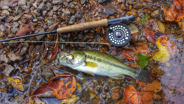Small water fly fishing gear