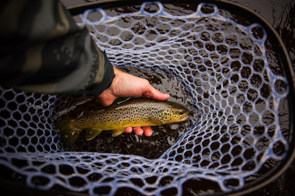 trout fly fishing small streams