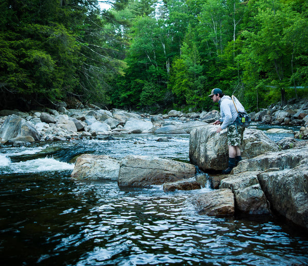 trout fly fishing small streams