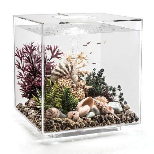 biOrb 60L / 16 Gallon Aquarium Kit w/ LED Light – Dream Fish Tanks